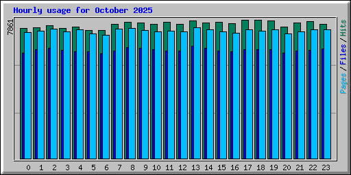 Hourly usage for October 2025